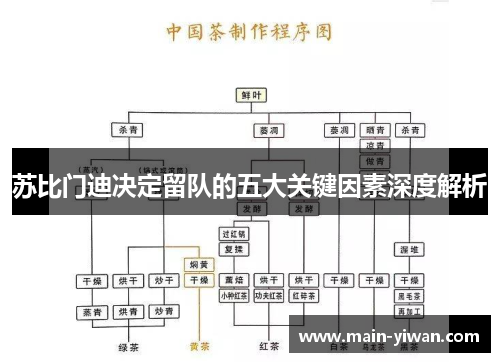 苏比门迪决定留队的五大关键因素深度解析