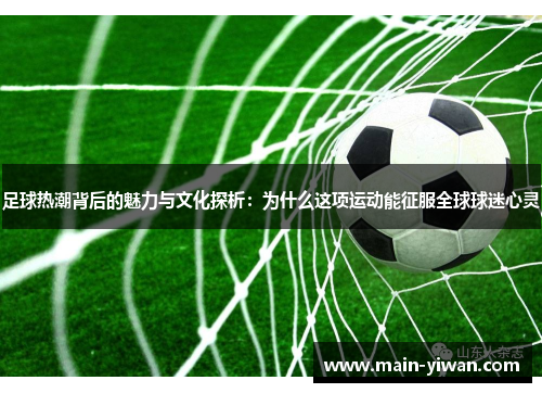 足球热潮背后的魅力与文化探析：为什么这项运动能征服全球球迷心灵