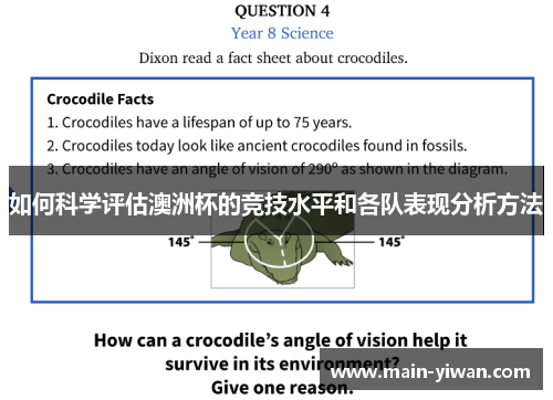 如何科学评估澳洲杯的竞技水平和各队表现分析方法