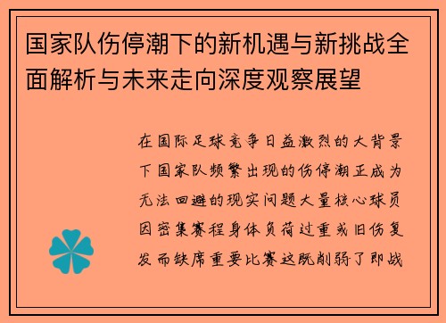 国家队伤停潮下的新机遇与新挑战全面解析与未来走向深度观察展望